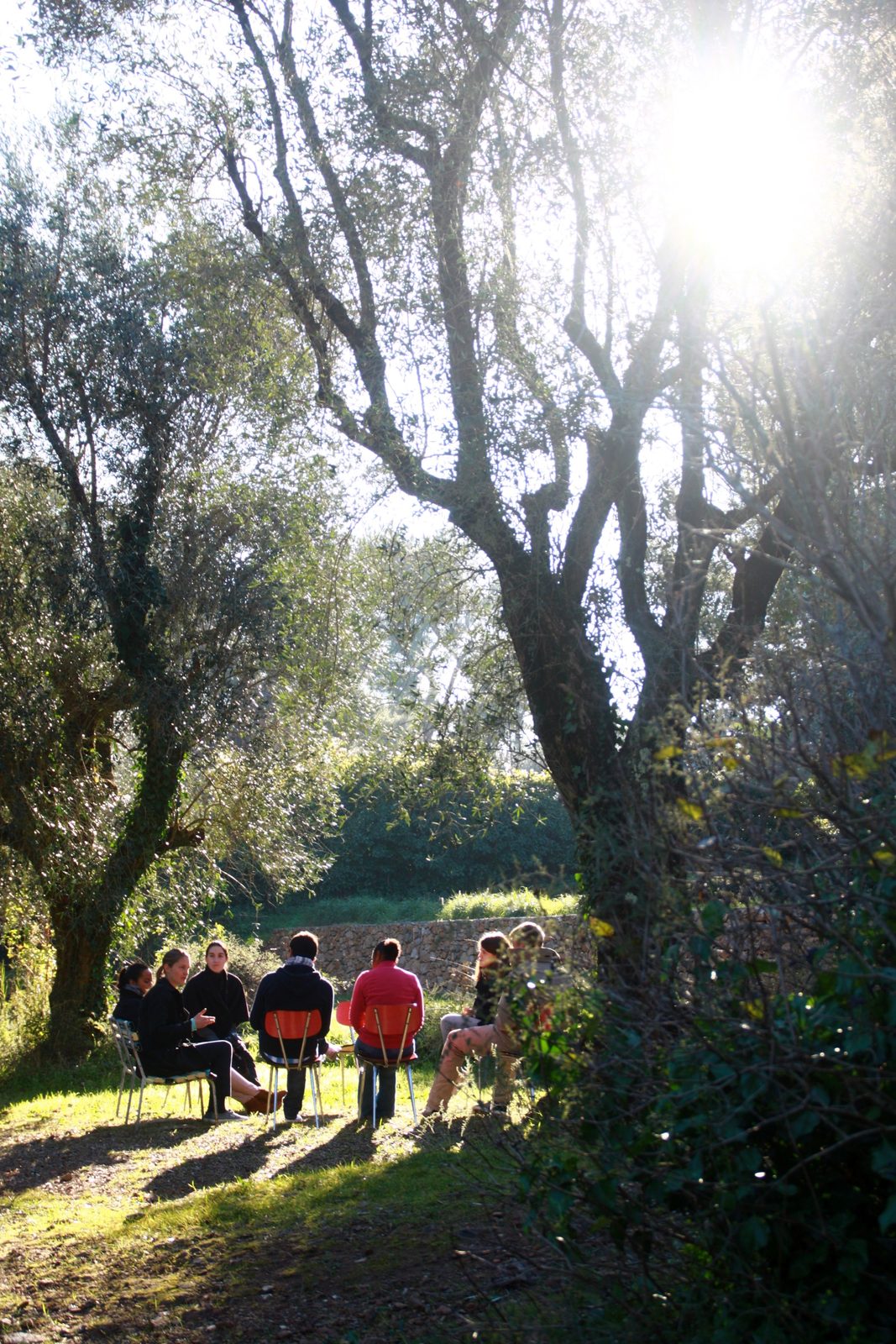 A group sitting in a circle